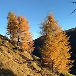 Stauden * Innervillgraten