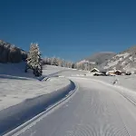 Stauden Innervillgraten