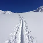 Stauden * Innervillgraten