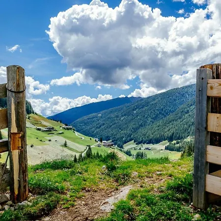 Stauden * Innervillgraten