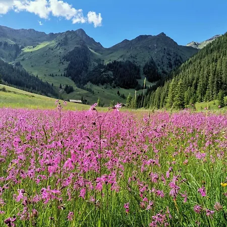 Stauden Appartamento