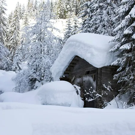 Stauden Appartamento *