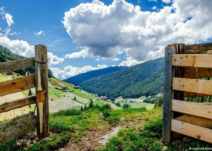 Stauden * Innervillgraten