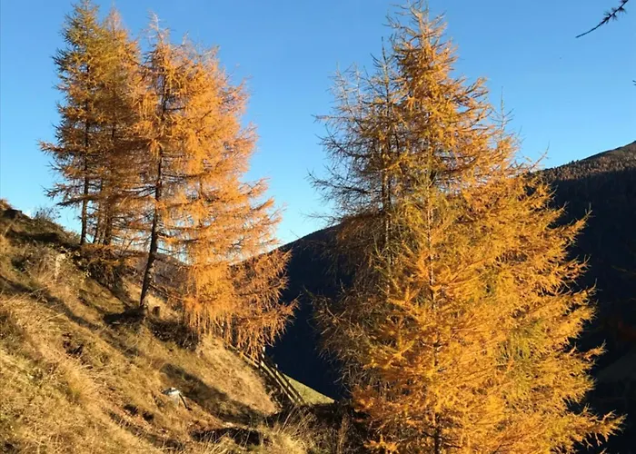 Stauden * Innervillgraten