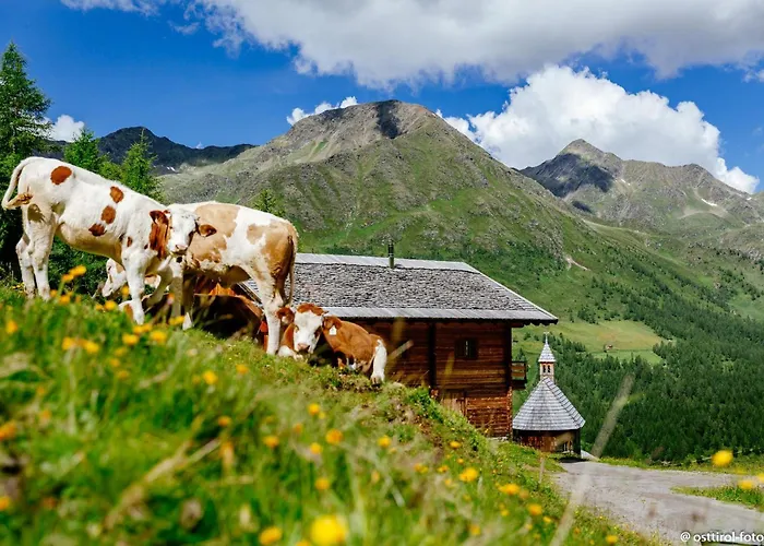 Appartement Stauden *