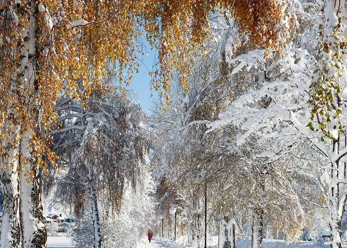 Stauden Appartement Innervillgraten