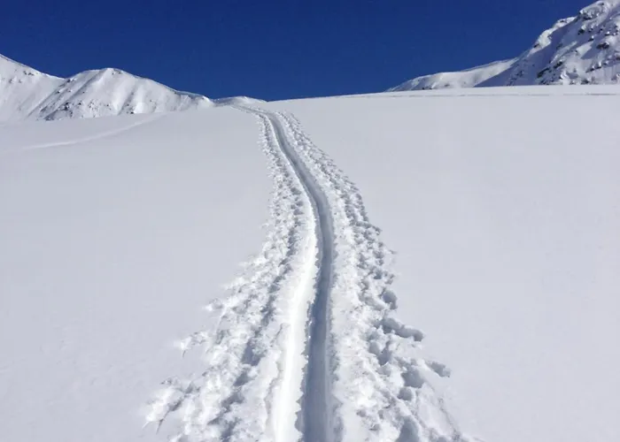 Stauden * Innervillgraten