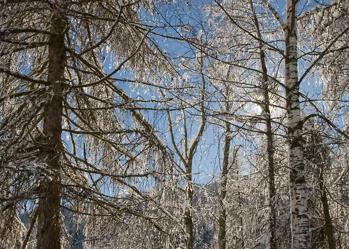 Stauden Appartement Innervillgraten