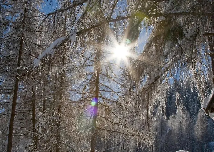 Stauden * Innervillgraten