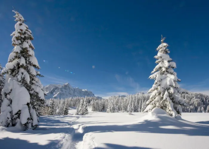 Stauden Appartement Innervillgraten