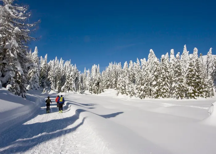 Stauden Appartement *
