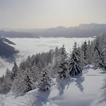 شقة Stauden