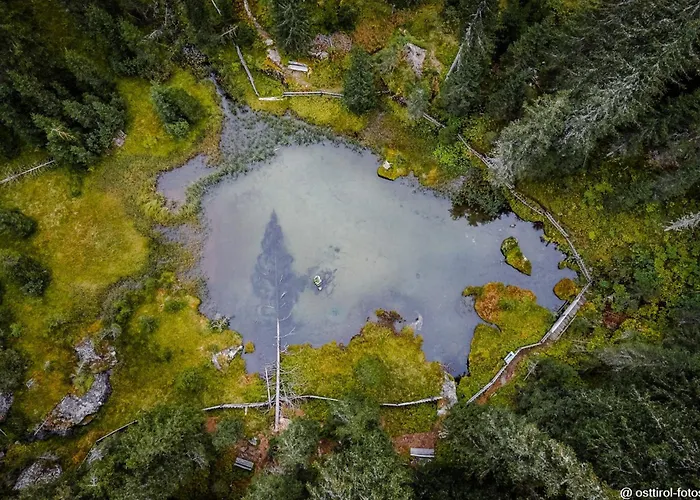 Stauden * Innervillgraten