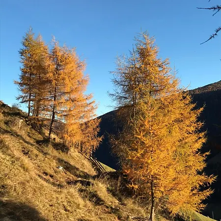 Stauden * Innervillgraten