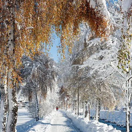 Stauden Apartman Innervillgraten