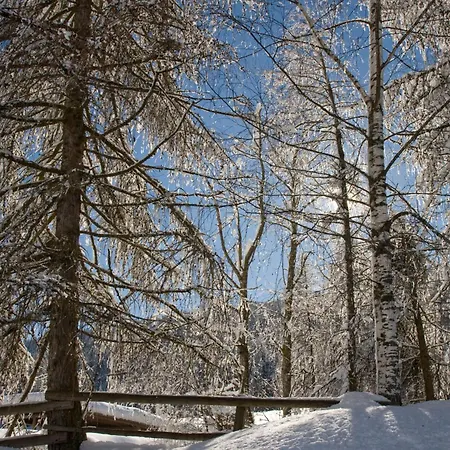 Stauden Apartman Innervillgraten