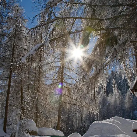 Stauden * Innervillgraten