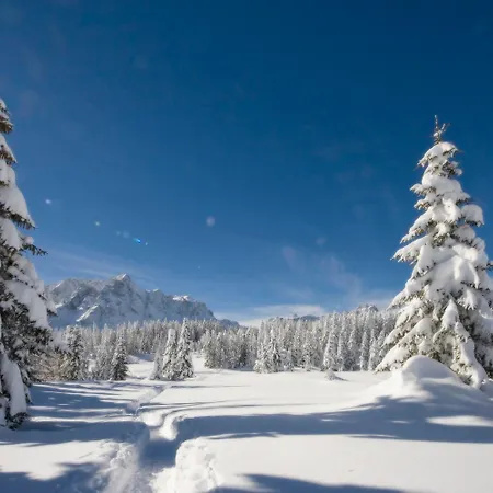 Stauden Apartman Innervillgraten